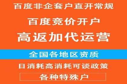 竞价广告代运营：企业增长秘诀